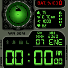 Casio LCD Green ESPAÑOL