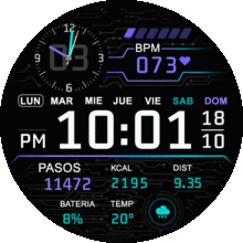 Digital Pulse de Zepp