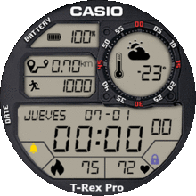 Casio Classic
