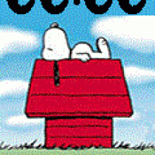 Snoopy V1